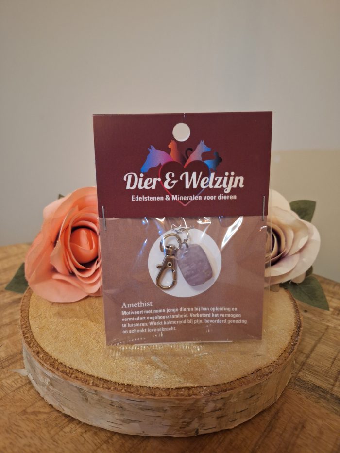 Halsband Hanger- Amethist - voor dieren