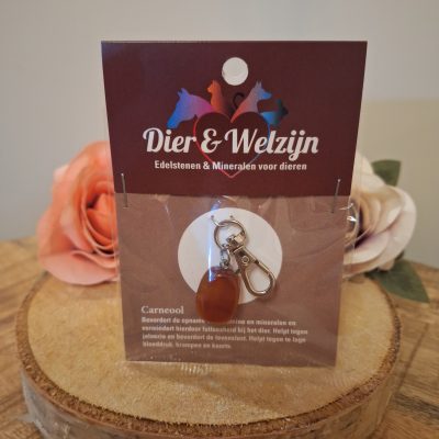 Halsband hanger - Agaat - voor dieren