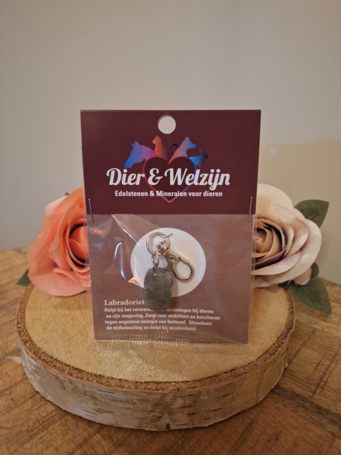 Halsband hanger - Labradoriet - voor dieren