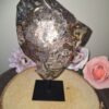 Agaat - Rots Drusy op voet - 585 Gram