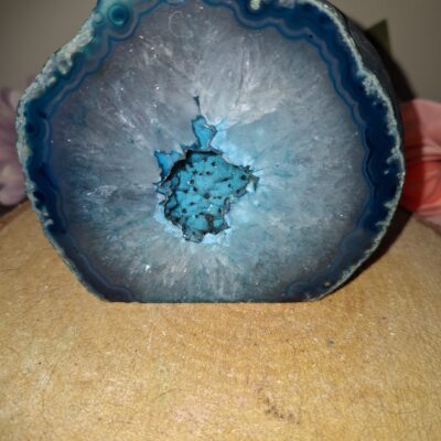 Abalone schelp - L