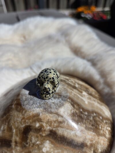 Dalmatier Jaspis - Mini schedeltje