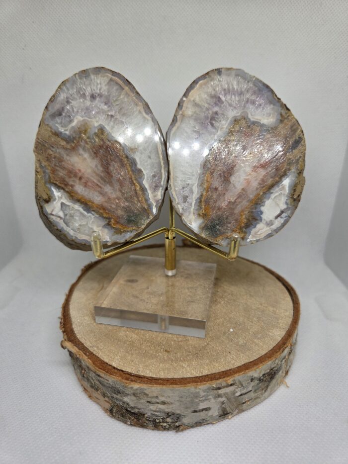 Agaat - geode vlinder