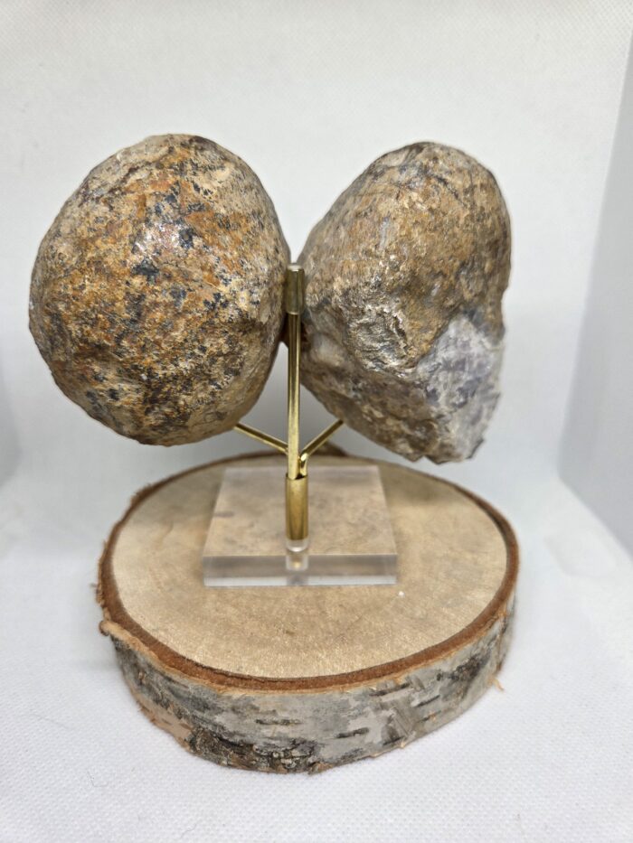 Agaat - geode vlinder