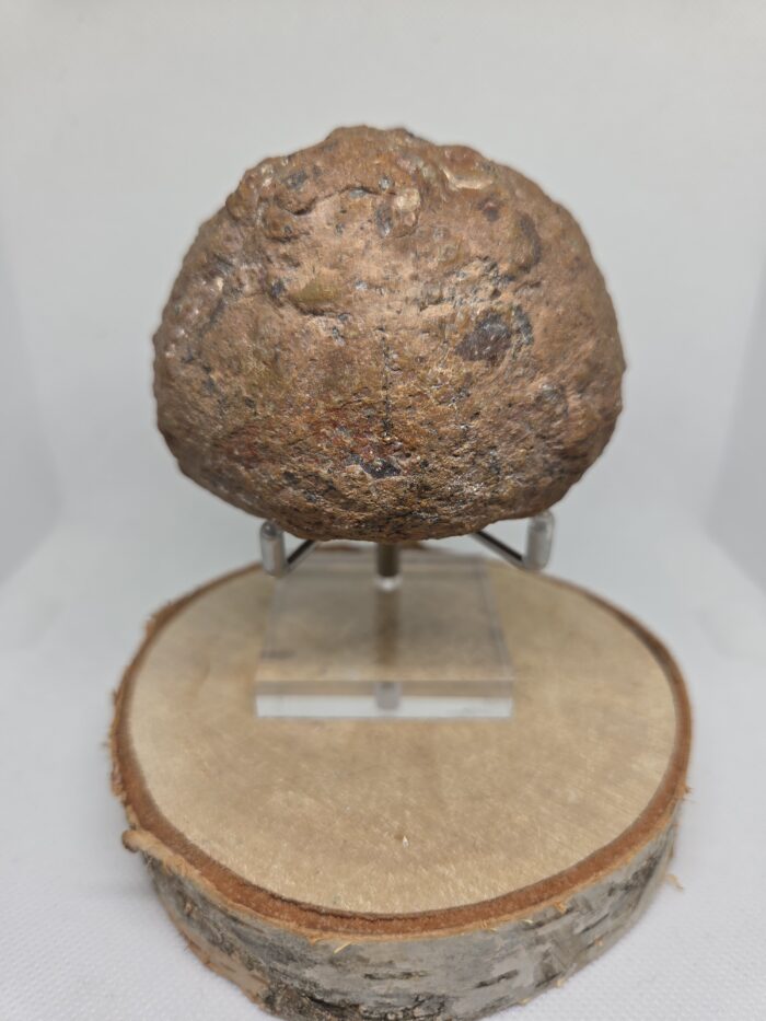 20250909_200411 Amethist - Geode - 310 Gram