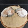 Amethist_achterkant_spiritsoflife Amethist - Kleine Geode - 135 Gram