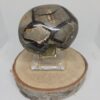 septairie_ruw_spiritsoflife Septarie - Ruw - Geode - 305 Gram
