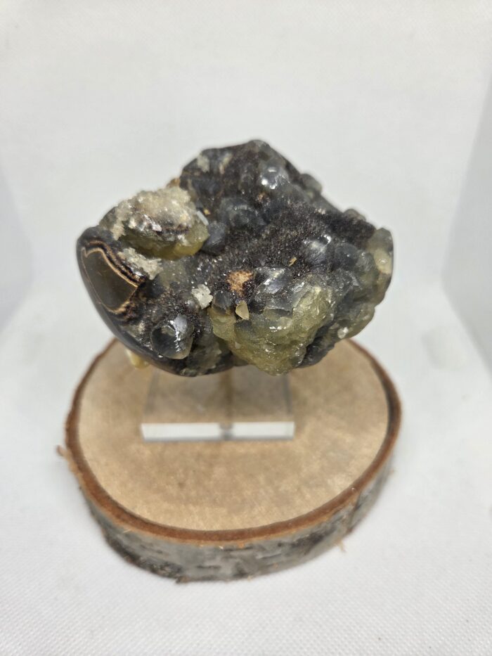 septairie_ruw_spiritsoflife Septarie - Ruw - Geode - 305 Gram
