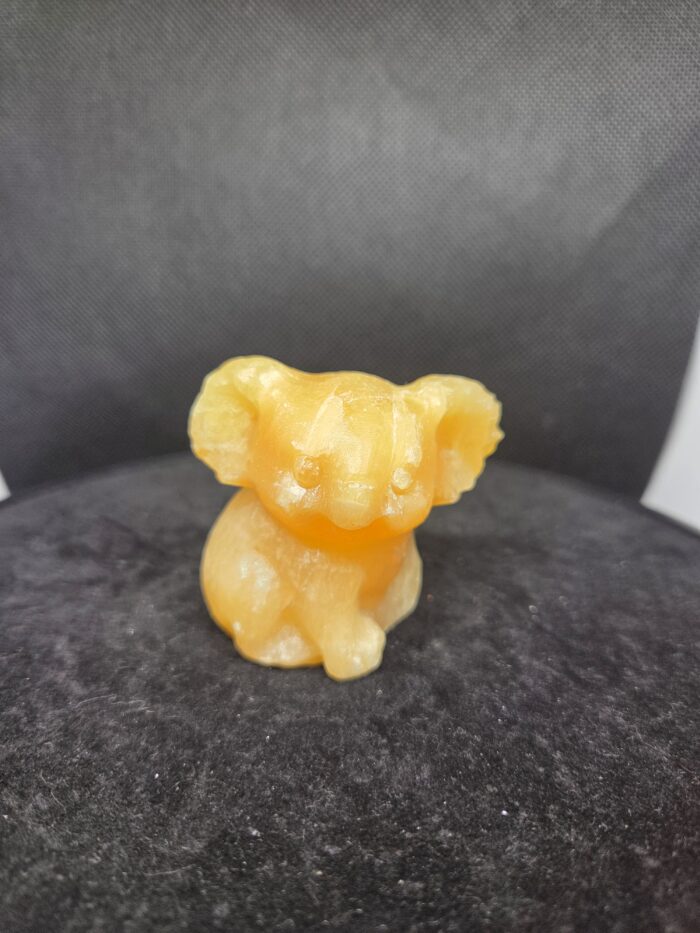 Gele Calciet_voorkantkoalabeertje_spiritsoflife Gele Calciet - Koala beer - 110 Gram