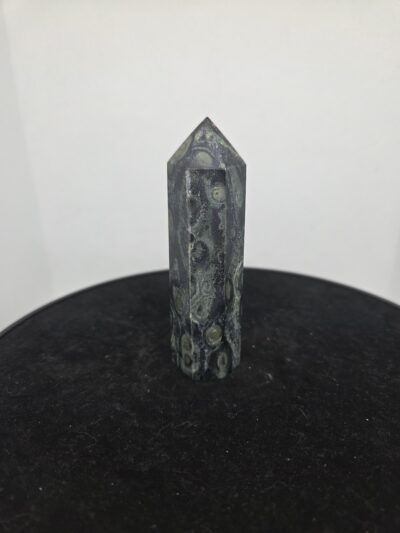 Kambaba Jaspis - Torentje - 95 Gram