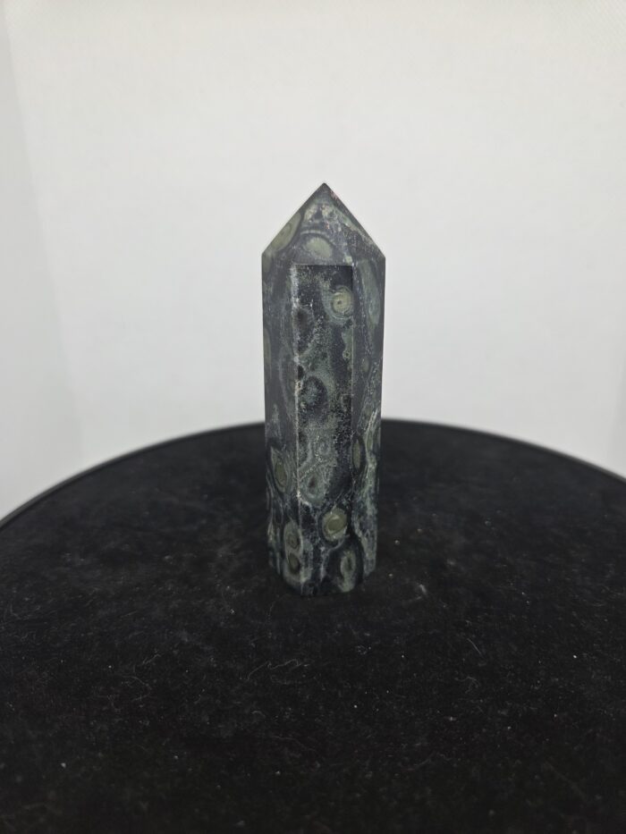 kambaba_torentje_spiritsoflife Kambaba Jaspis - Torentje - 95 Gram