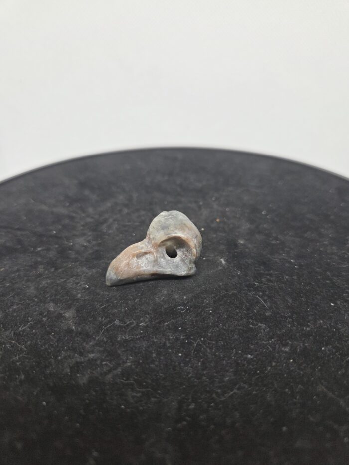 Yuperlite_raafschedel_spiritsoflife Yooperlite - Raafschedel - 10 Gram