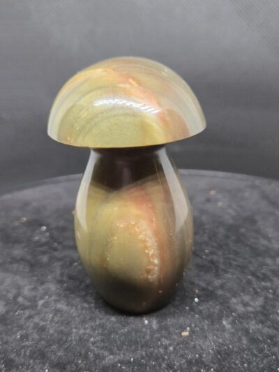 20251102_152208 Agaat - Paddenstoel - 130 Gram