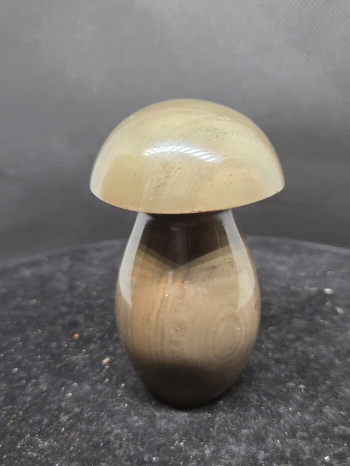 20251102_152214 Agaat - Paddenstoel - 130 Gram