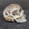 Picture Jaspis - Skull - 185 Gram