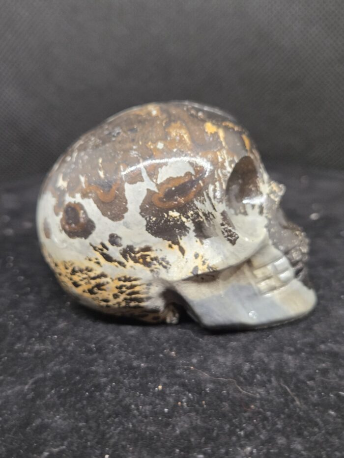 Picture Jaspis - Skull - 185 Gram