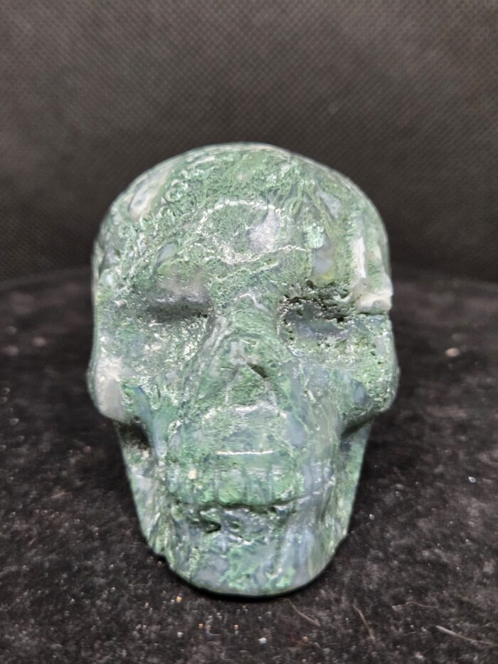 20251104_170404 Mosgaat - Skull - 255 Gram