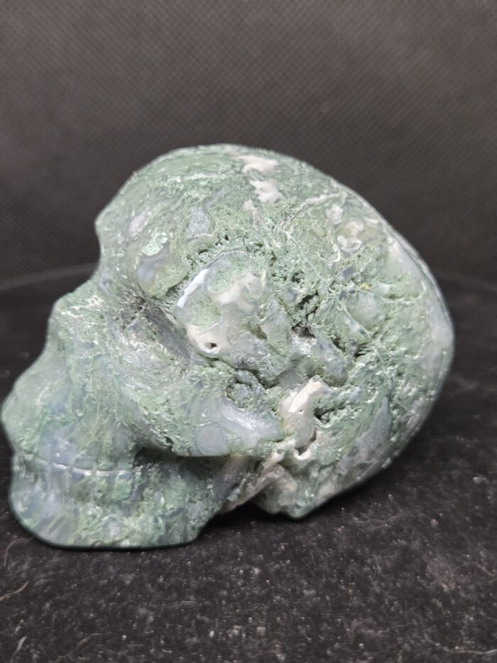 20251104_170407 Mosgaat - Skull - 255 Gram