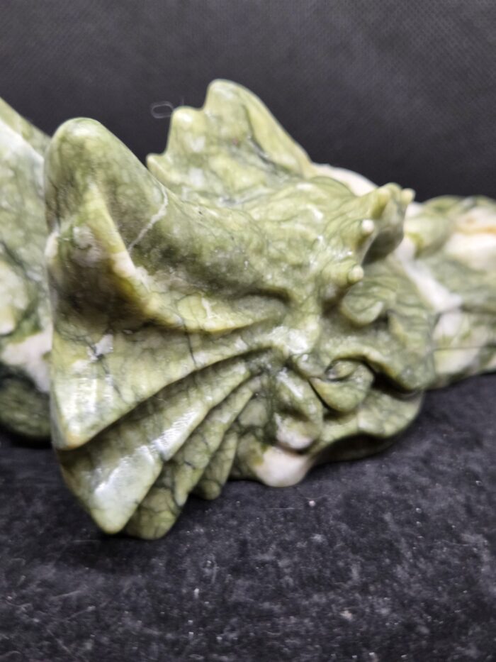 20251104_173407 Mosagaat - Draak - 725 Gram