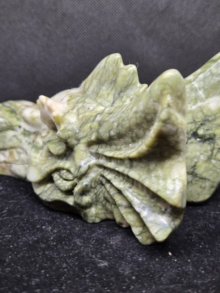 20251104_173416 Mosagaat - Draak - 725 Gram