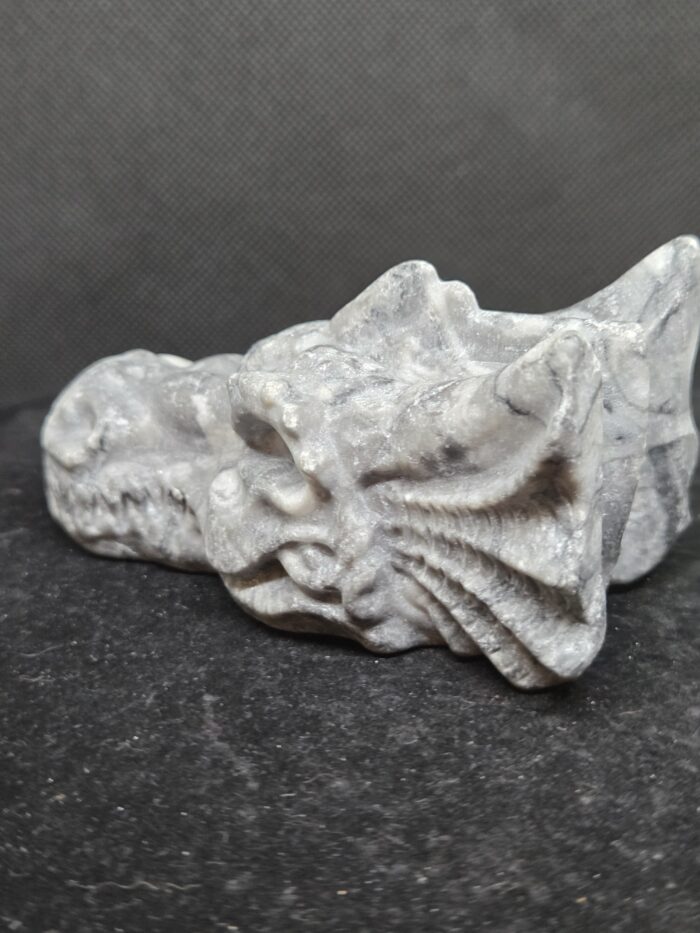 Picasso Jaspis - Draak - 275 Gram