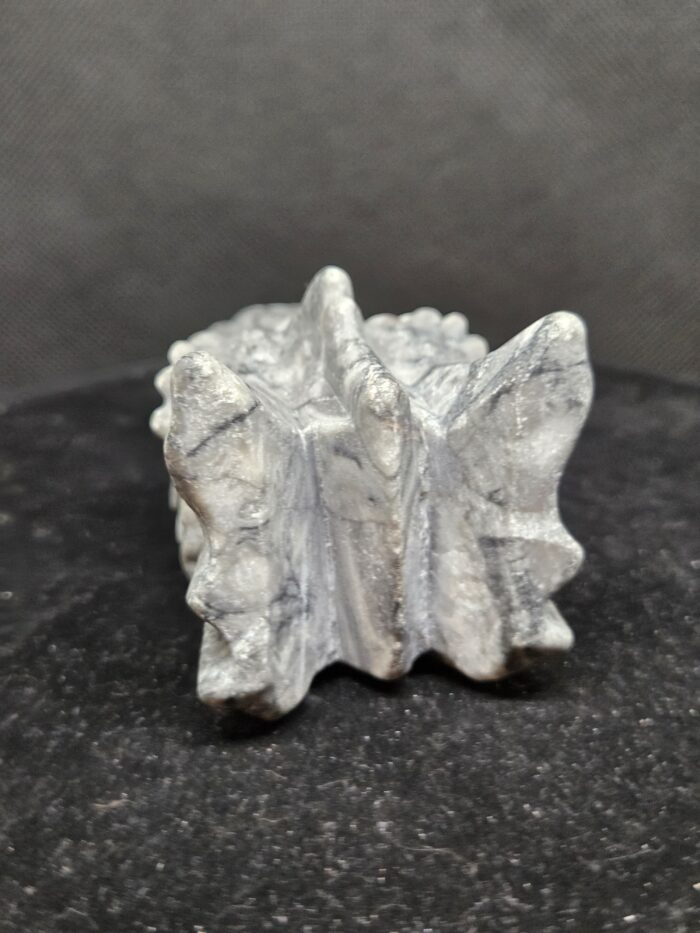 Picasso Jaspis - Draak - 275 Gram