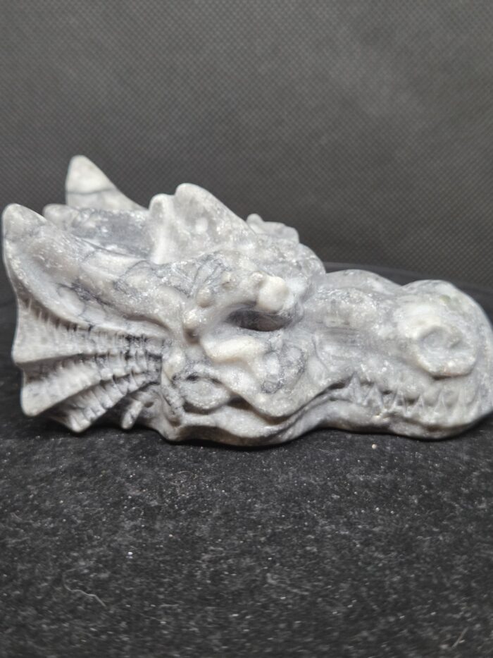 Picasso Jaspis - Draak - 275 Gram