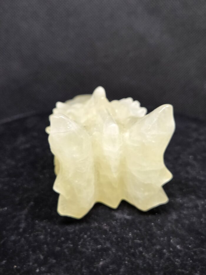 20251118_170016 Citrien - Draak - 270 Gram