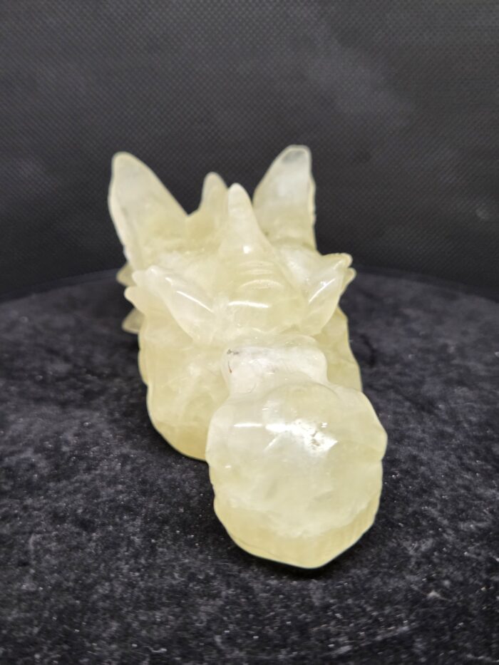 20251118_170023 Citrien - Draak - 270 Gram