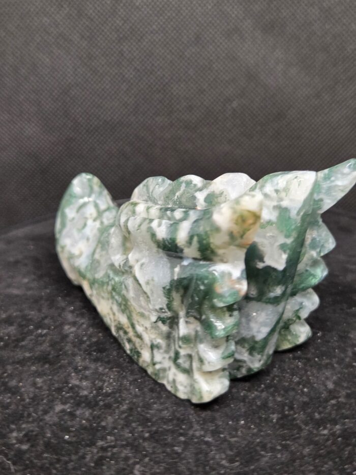 20251118_170404 Mosagaat - Draak - 250 Gram