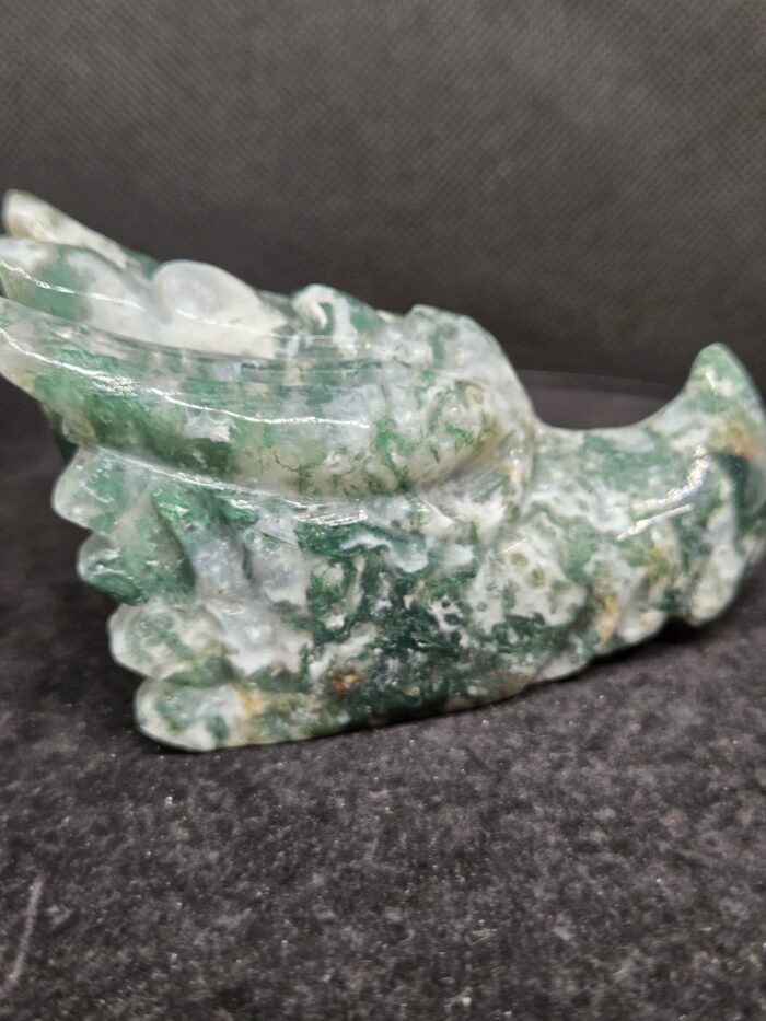 20251118_170409 Mosagaat - Draak - 250 Gram