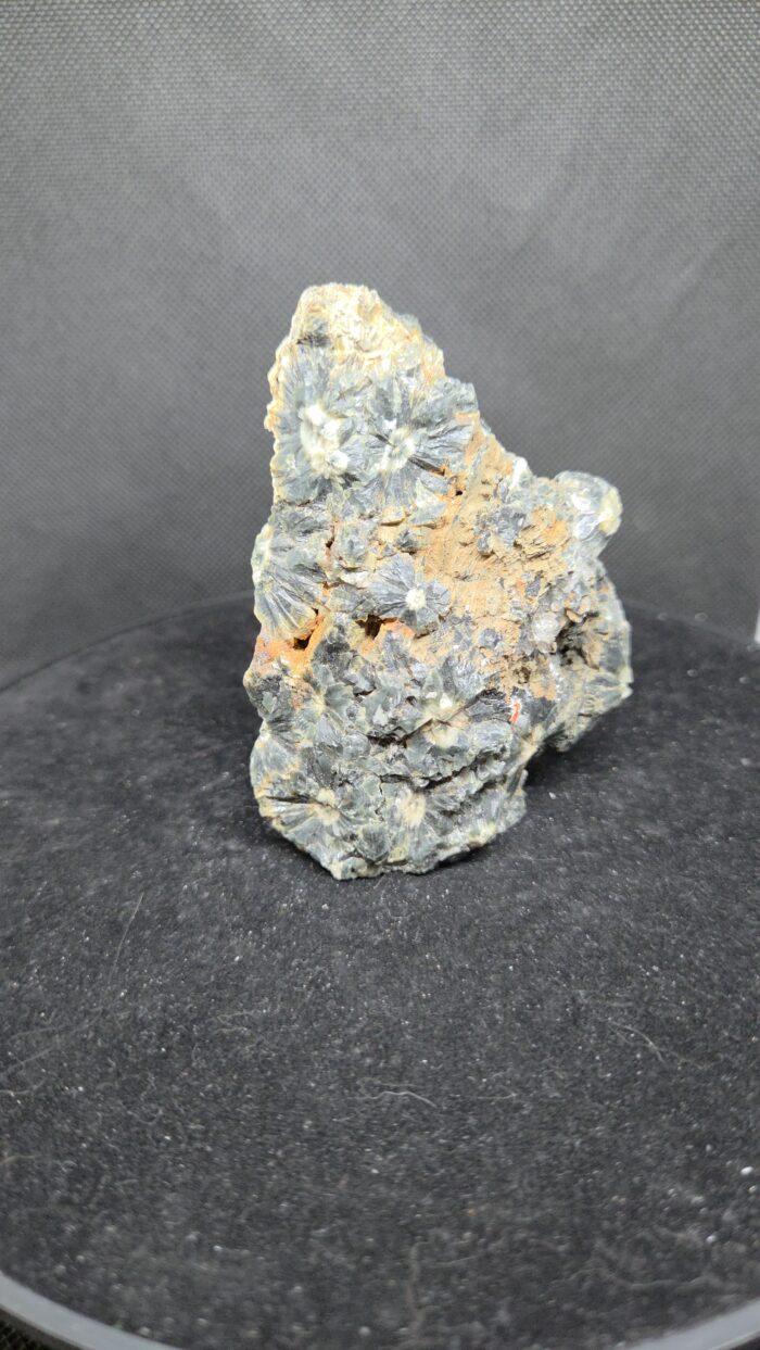 Oceaan Jaspis - Ruw - 190 Gram