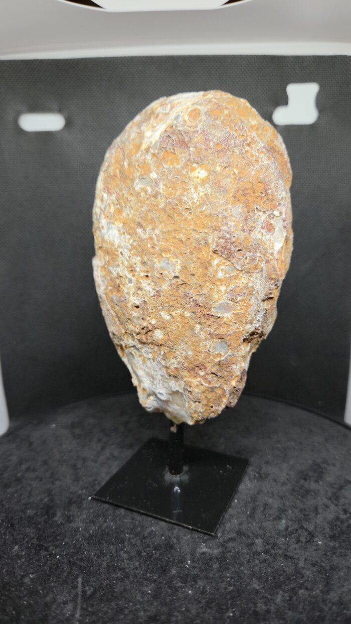 20251118_185925 Agaat - op voet - 335 Gram