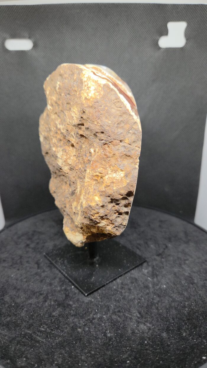 20251118_190305 Agaat - op voet - 555 Gram