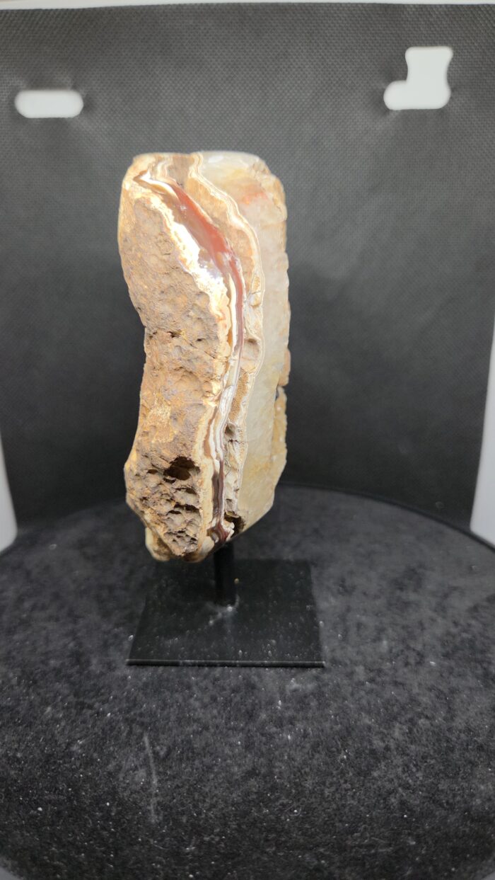 20251118_190307 Agaat - op voet - 555 Gram