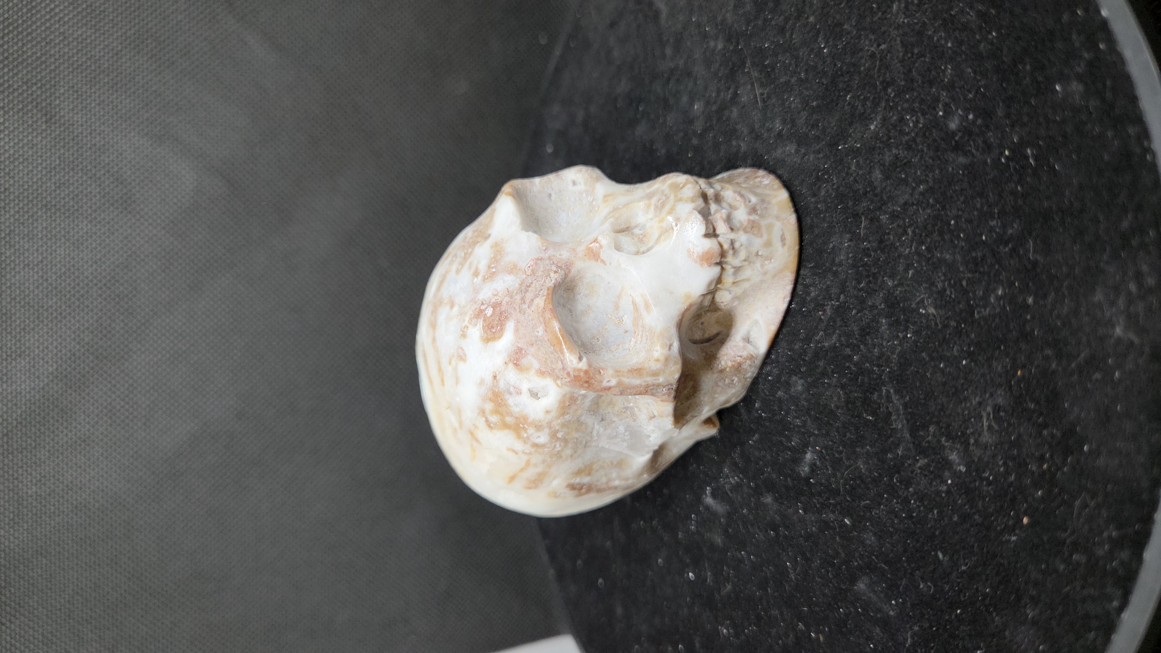 20251118_192635 Sphaleriet - Skull - 390 Gram