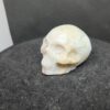 20251118_192917 Blue Ocean Calciet - Skull - 220 Gram